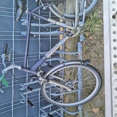 Pánské kolo, jak nahlášeno Gemeente Roermond pomocí iLost