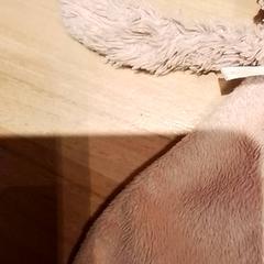 Peluix, segons ha informat Beekse Bergen Resorts en Hotel mitjançant iLost