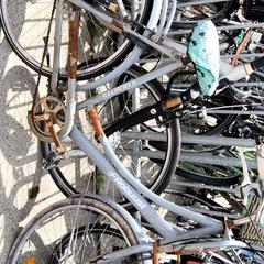 Bicicleta de mujer robuust, ha sido reportado por Stadswerk072 con iLost