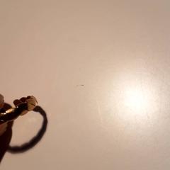 Ring goudkleurig, rapporterat av Beeld & Geluid Hilversum med iLost