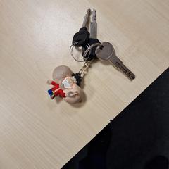 Sleutelbos, zoals gemeld door Gemeente Roermond met iLost