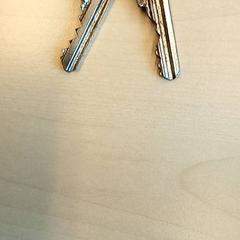 Giltzak, gisa salatu by Arriva Den-Bosch iLost erabiliz