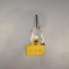 Sleutel, zoals gemeld door Walibi Holland met iLost