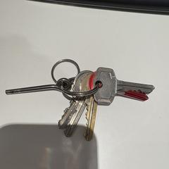 Sleutelbos, jak zgłoszono do iLost