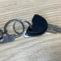 Clau, segons ha informat Diakonessenhuis Utrecht mitjançant iLost