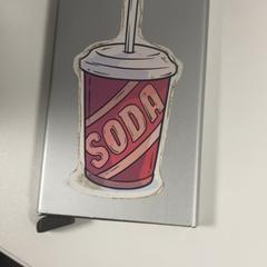 Pasjeshouder Vis, zgłoszono przez Pathé Ypenburg przy użyciu iLost