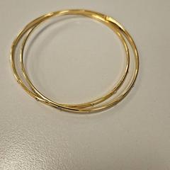 Armbanden, segundo informou Vrije Universiteit Amsterdam usando iLost