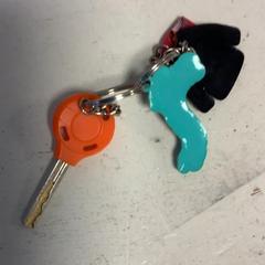 İLost kullanarak Artis tarafından bildirildiği gibi Bisiklet anahtarı