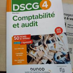 Studieboek Comptabilité et audit, zoals gemeld door IKEA Paris - Rivoli met iLost