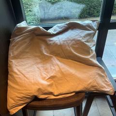 Cushion, as reported by Hotel Apeldoorn using iLost