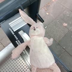 Konijn knuffel がiLostに報告されました