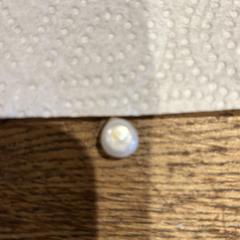 Oorbel がiLostに報告されました