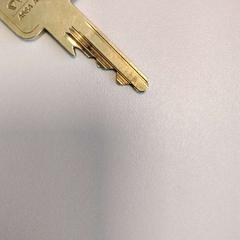 Clé, a été signalé par Twisto utilisant iLost