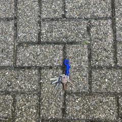 Sleutel bos met sleutelhanger, como reportado ao iLost