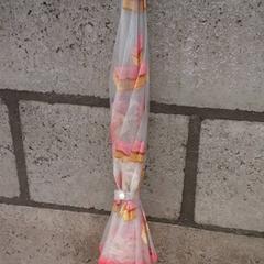 Paraply, rapporterat av Arriva Oost-Brabant med iLost