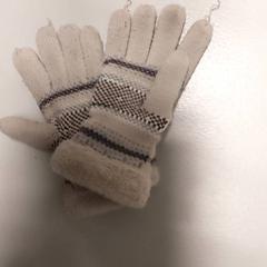 Gloves, as reported by Centraal magazijn using iLost