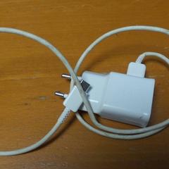 Adapter, as reported by Carlton Beach Hotel using iLost