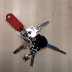 Klucze Scooter sleutel zwart, zgłoszono przez LUMC przy użyciu iLost