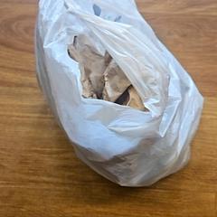 가방, iLost를 사용하여 GVB에 보고됨