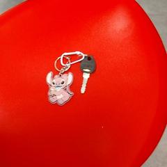 Kľúč, ako bolo nahlásené Arriva Infoshop Enschede pomocou iLost