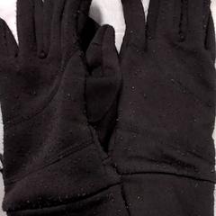 Rukavice Zwart, jak nahlášeno Arriva Friesland / Groningen pomocí iLost