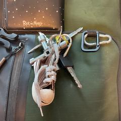 Rugtas Groen samsonite, a été signalé par Gemeente Amsterdam utilisant iLost