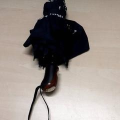 Paraply, rapporterat av Arriva Oost-Brabant med iLost