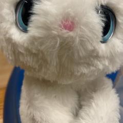 Knuffelspeeltje, zoals gemeld door IKEA福岡新宮 met iLost