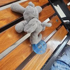 Olifantje met blauwe speen an iLost gemeldet