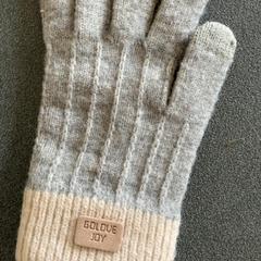 Rukavice, jak nahlášeno Schönbrunn "Group Center" pomocí iLost