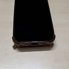 핸드폰 iphone, iLost를 사용하여 Arriva Oost-Brabant에 보고됨