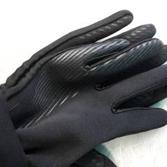 Gloves, as reported by Arriva Friesland / Groningen using iLost