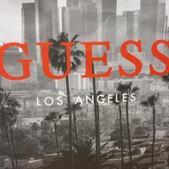 Purchase guess, a été signalé par Designer Outlet Roermond utilisant iLost