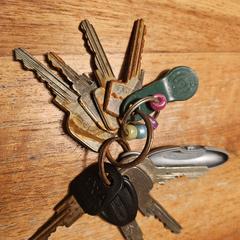 Sleutelbos, som rapporterats till iLost