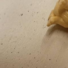 Xoguete, segundo informou HTM usando iLost