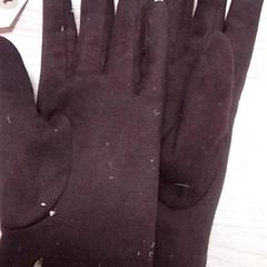 Kesztyű, amint azt Qbuzz Fryslân az iLost segítségével jelentette.