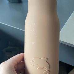 Flasche Beige, gemeldet von Burgers' Zoo über iLost