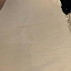 القميص White، كما تم الإبلاغ عنه بواسطة Van der Valk Hotel Heerlen عبر iLost