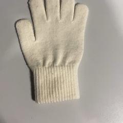 Glove Wit, as reported by Burgers' Zoo using iLost
