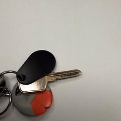 Gakoa, gisa salatu by ilévia iLost erabiliz