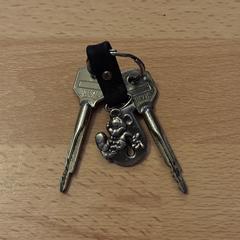 Sleutels met Mickey Mouse sleutelhanger, ako bolo nahlásené iLost
