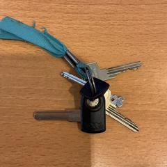 Clau, segons ha informat Gemeente Amsterdam mitjançant iLost