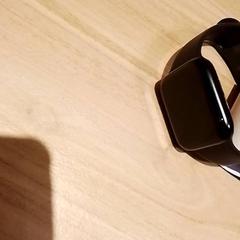 Apple Watch Zwart, as reported by Beekse Bergen Resorts en Hotel using iLost