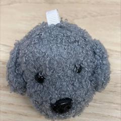 Cuddly toy, as reported by IKEA前橋 using iLost