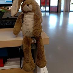 Kuddiga slag, rapporterat av IKEA Toulouse med iLost