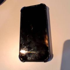 Iphone Zwart, amint azt Familiepark Drievliet az iLost segítségével jelentette.