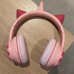 Hörlurar, rapporterat av Van der Valk Hotel Eindhoven - Best med iLost