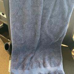 Håndkle Blauw, som rapportert av Burgers' Zoo ved bruk av iLost