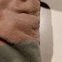 Kosete leke, som rapportert av De Efteling ved bruk av iLost