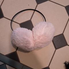 Oorwarmers, zoals gemeld door Hortus Botanicus Amsterdam met iLost